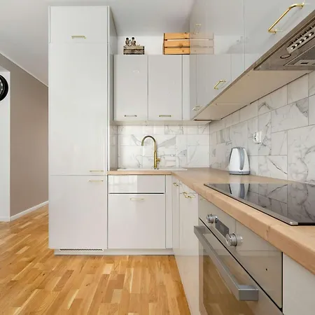 Spacious In With A Desk For Remote Work And A Balcony By Renters דירה ורוצלב